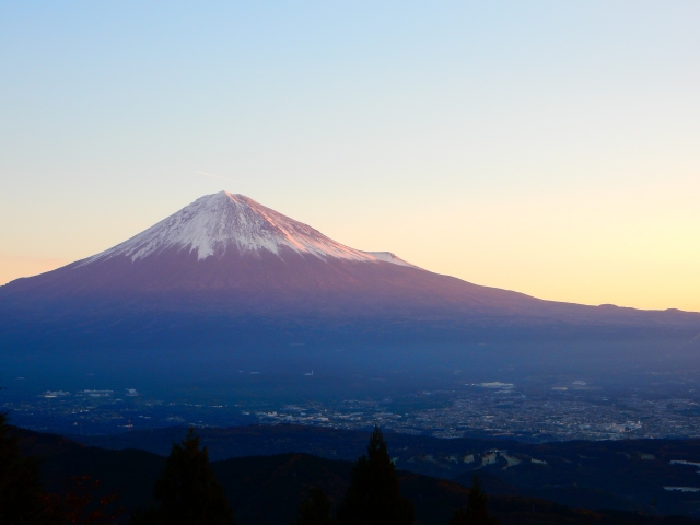 富士・富士宮市の構造別土地付き一戸建て相場